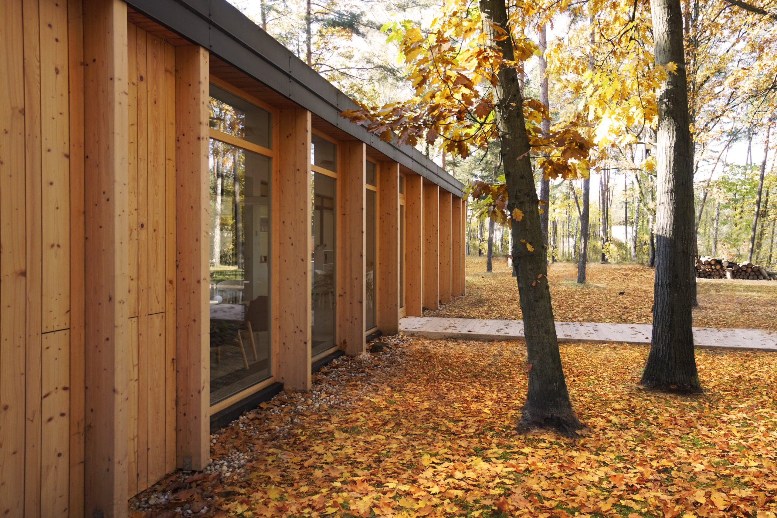 Forest-Cafeteria-Asman-Pieniezny-widok-zewnetrzny-A