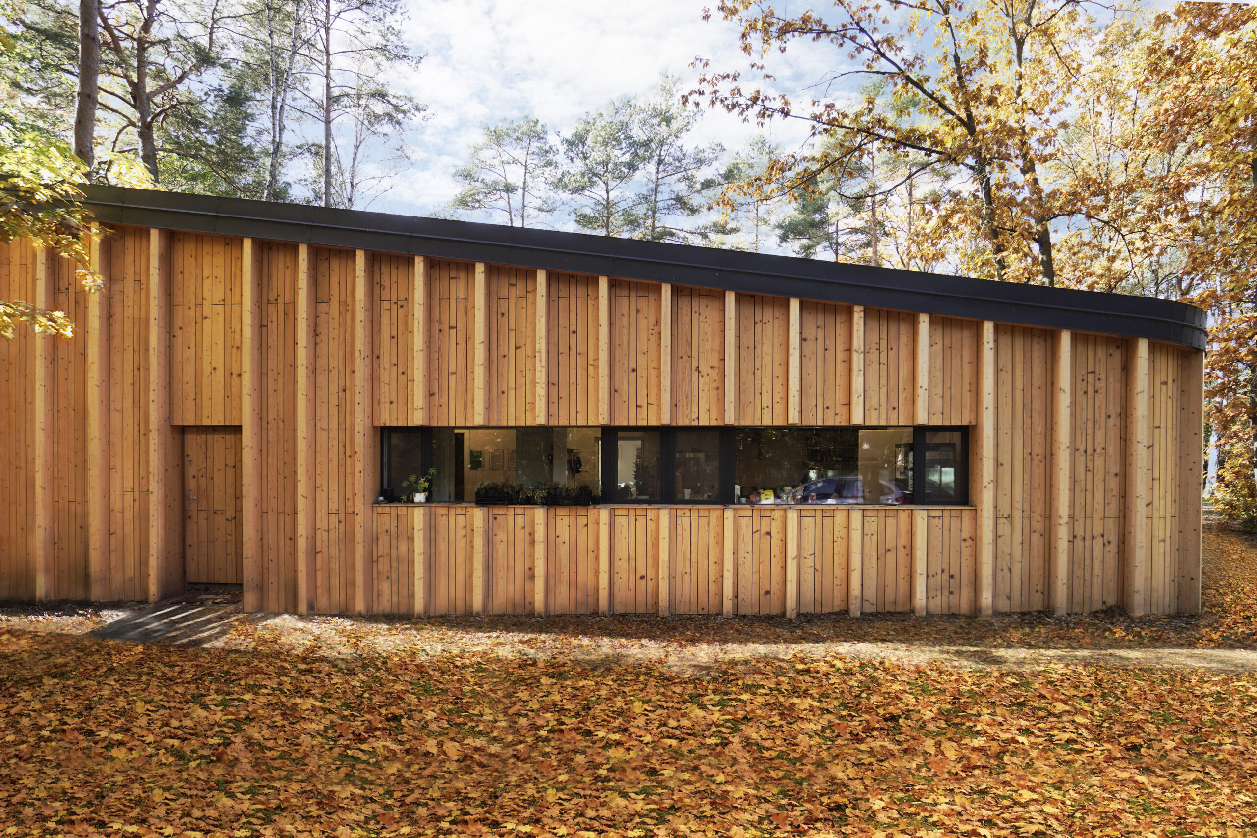 Forest-Cafeteria-Asman-Pieniezny-widok-zewnetrzny-B