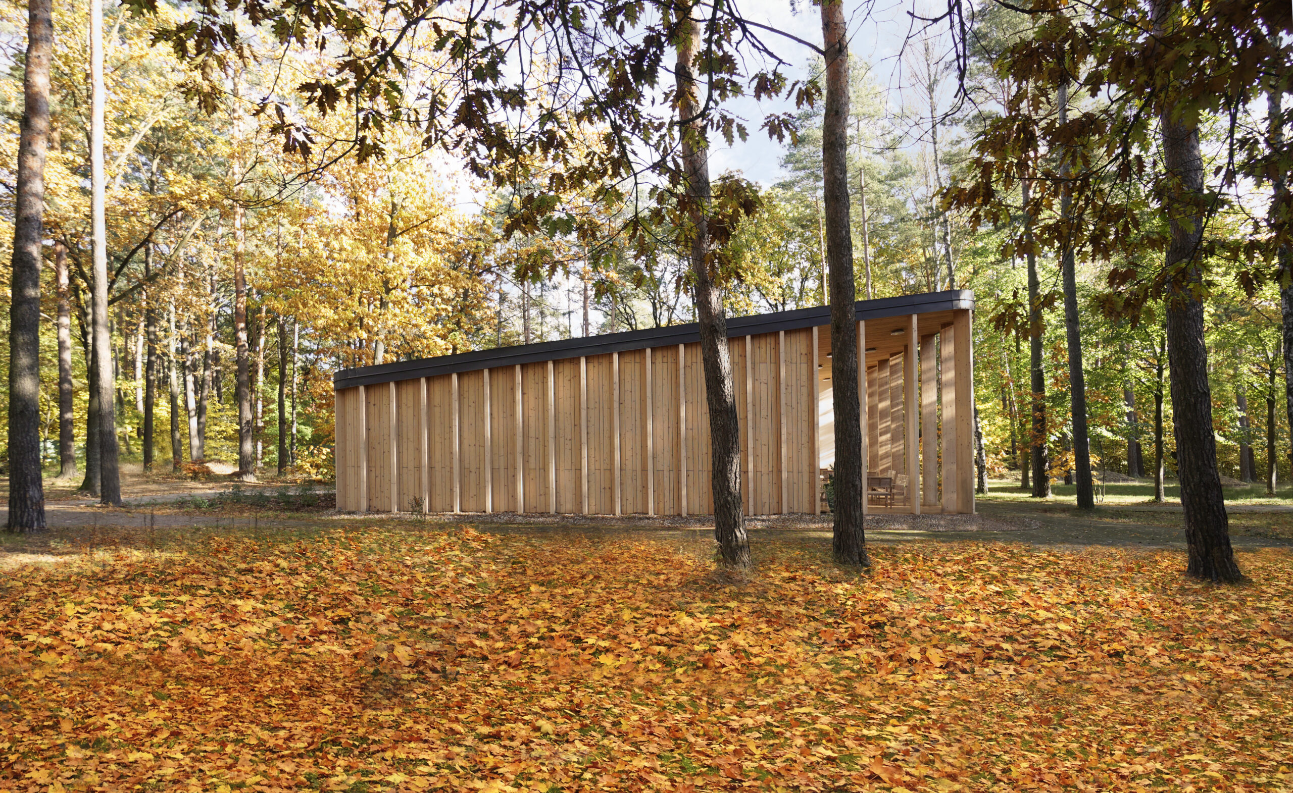 Forest-Cafeteria-projekt-budynku-pod-dzialalnosc