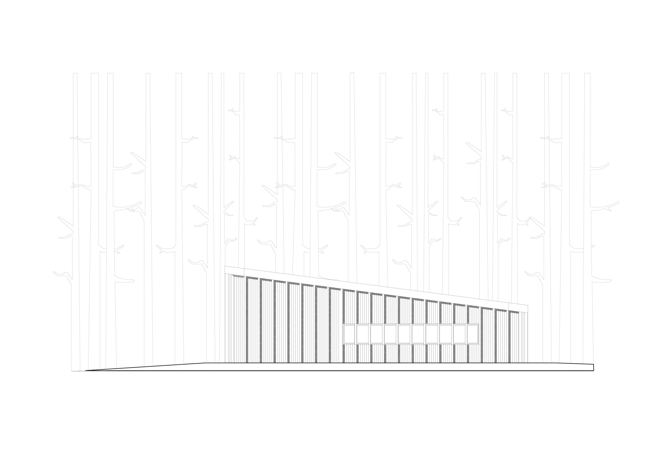Forest-Cafeteria-rzut-C