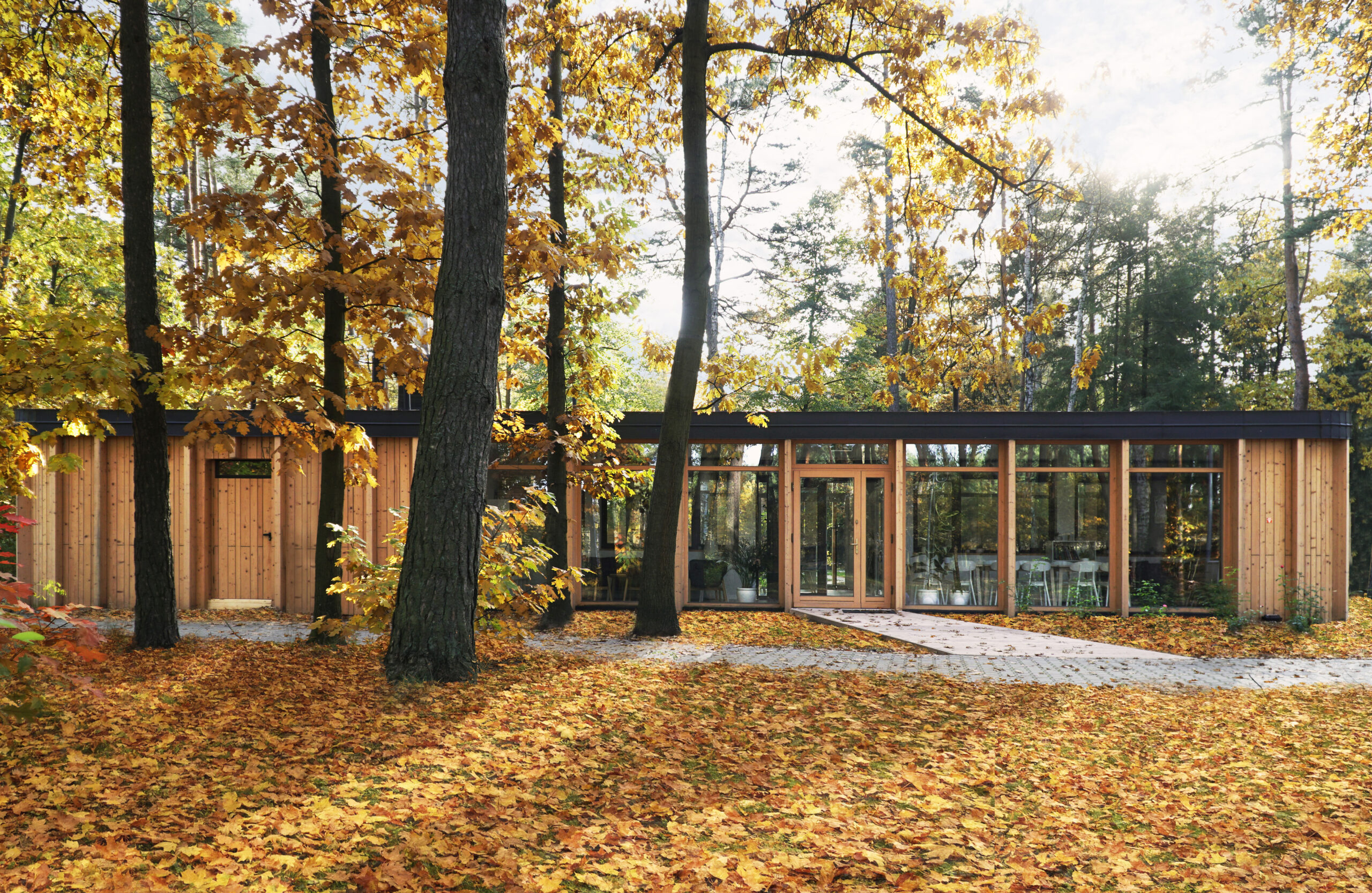 Forest-Cafeteria-projekt-budynku-uslugowego-Asman-Pieniezny